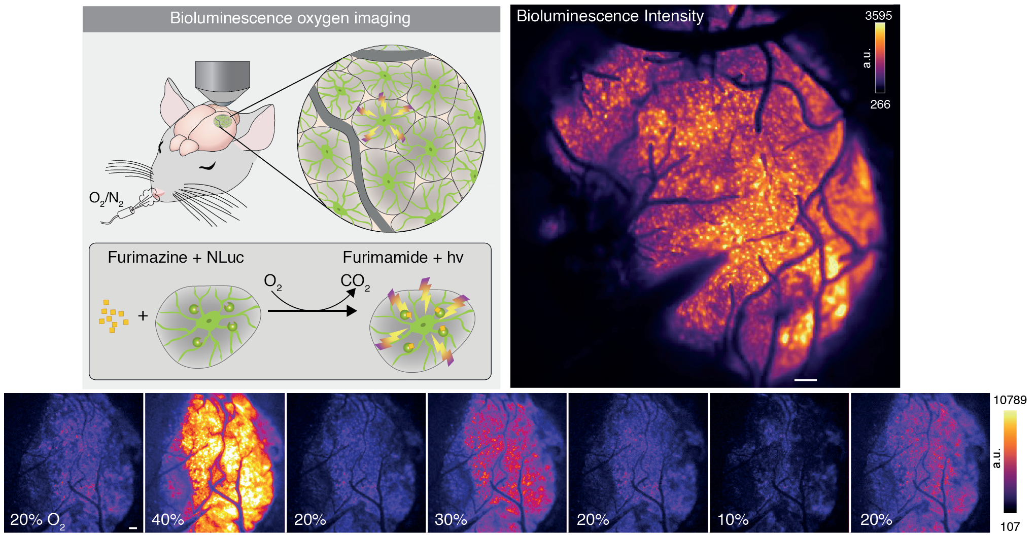 Science publication cover image